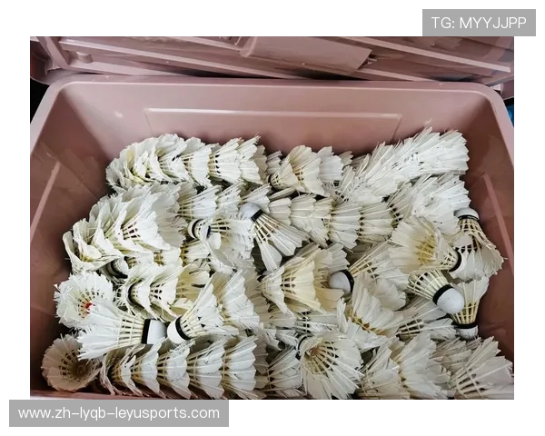 羽毛球喷漆教训