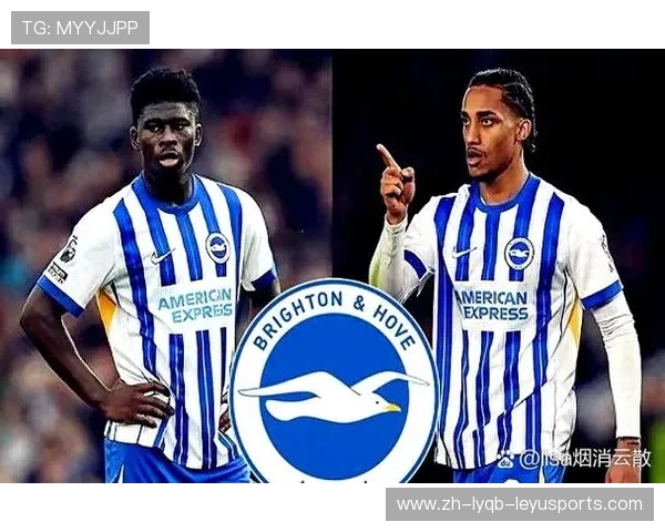 英超球队布莱顿与JD合作详解 英超球队布莱顿与JD合作详解